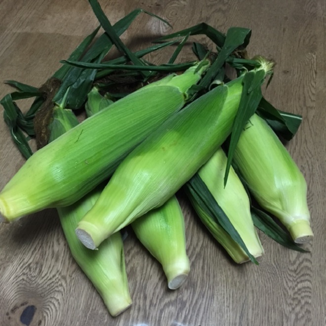 Ƃ낱@17.8.27.jpg