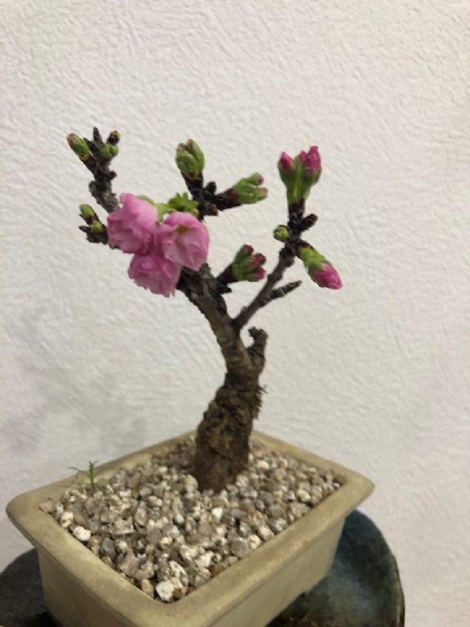 @2019.3.28@.jpg