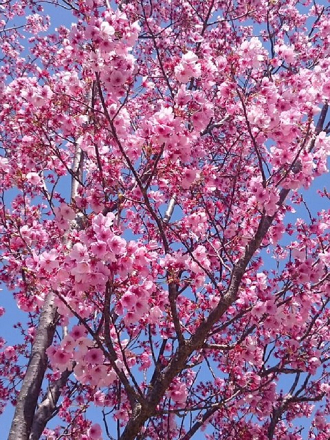 2016.3.26 @.jpg
