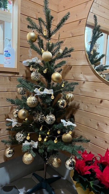 クリスマスツリー.JPG